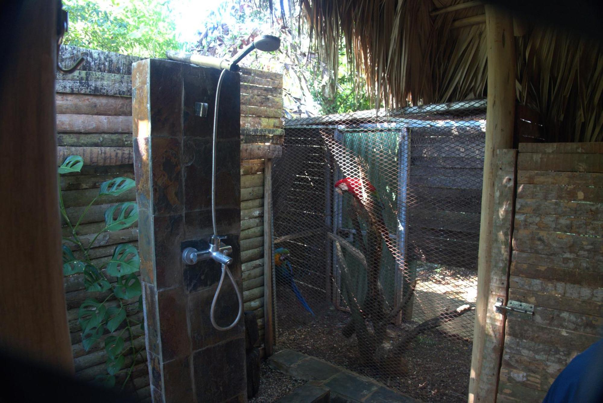 Samana Casa El Paraiso, Eco Lodge מראה חיצוני תמונה